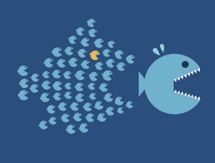 Illustration of many small fish chasing one big fish