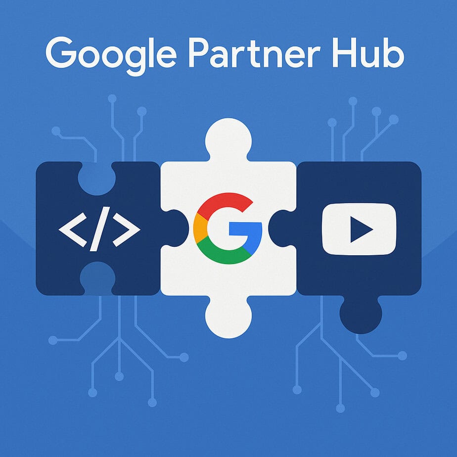 Google Partner Hub and What It Means for Brands: What is an API
