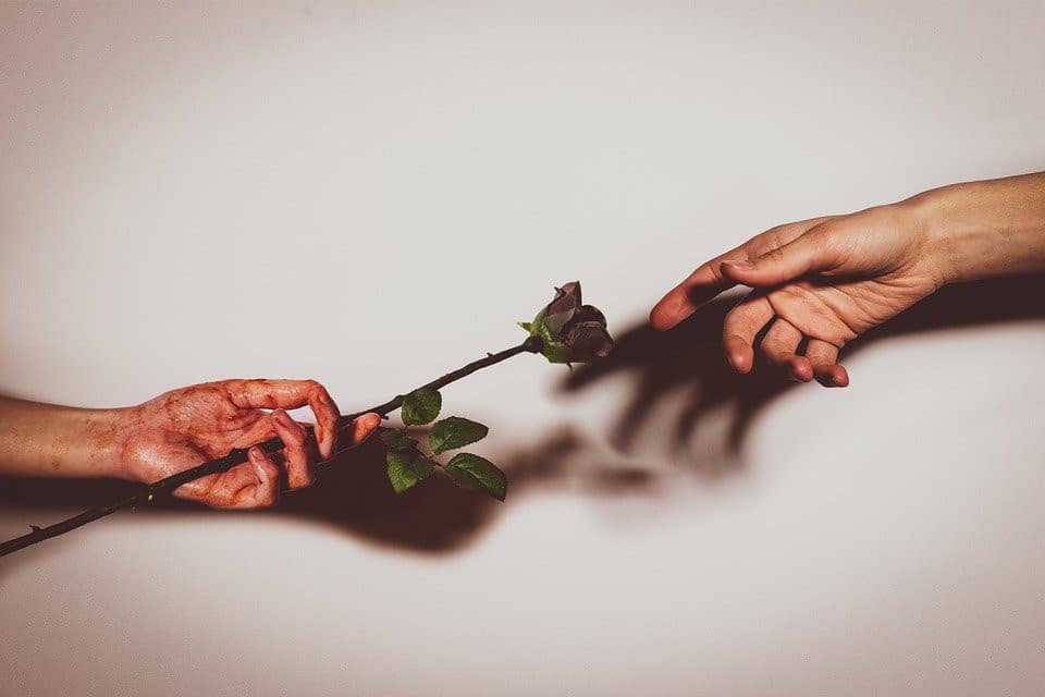 Love and hate between people and influencers depicted with thorny rose stem and hands