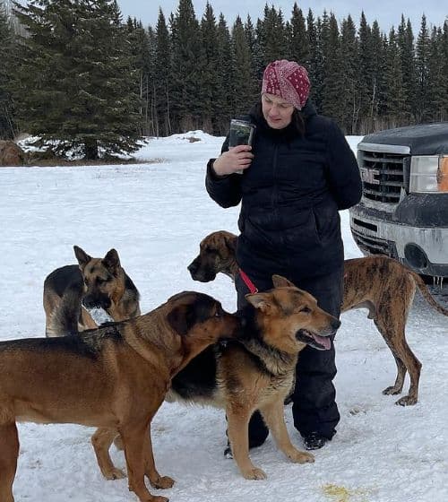Amy Plummer training dogs in the snowng