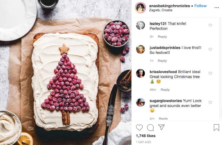 Anas Baking Chronicles | Instagram post | Christmas berry cake