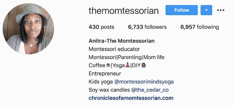 Anitra Jackson | The Momtessorian | Parenting and Mom Life | Instagram Bio