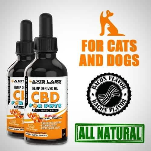CBD for pets by Axis Labs | Cat brands