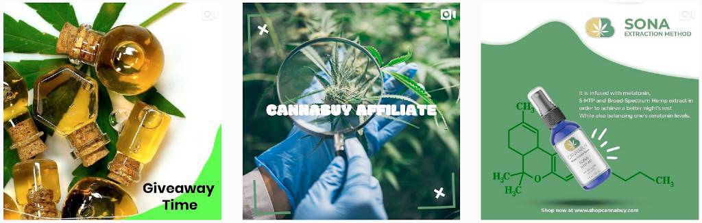 Cannabuy | Social Media Gallery