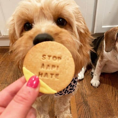 Caroline Billinson | Dog and Cookie | Instagram Pet Influencer