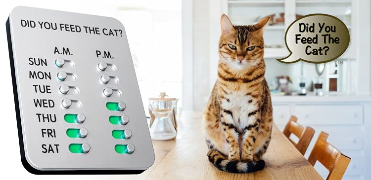 Did you feed the cat reminder tool for feeding pets