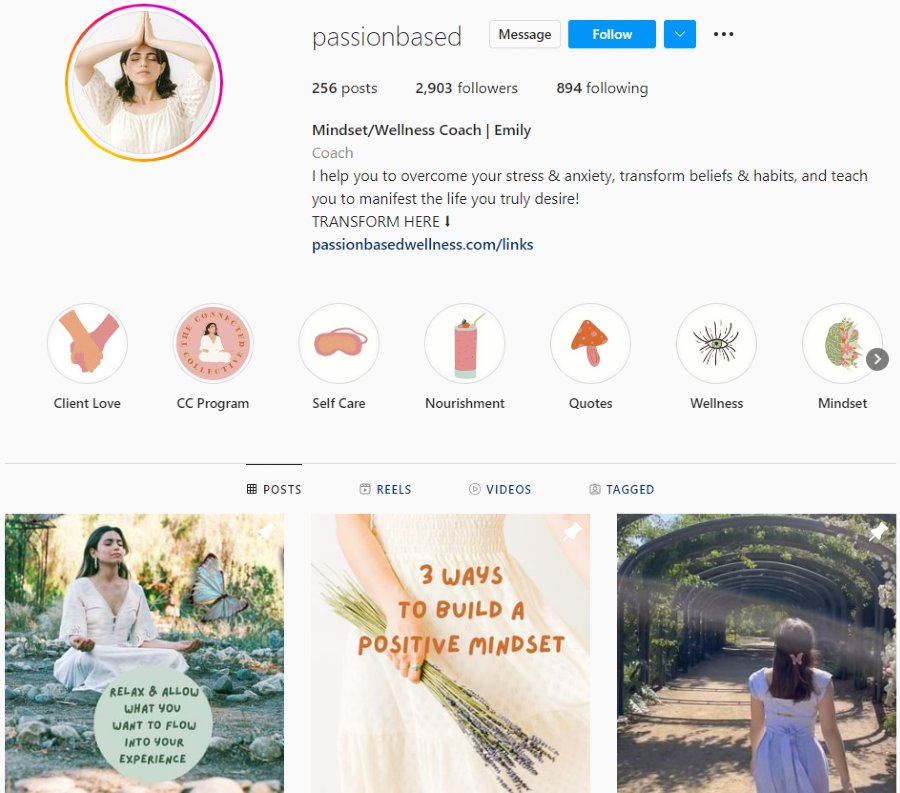 Wellness coach Emily | IG bio and posts | Micro-influencer marketing