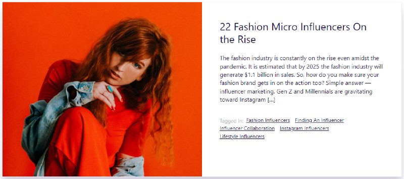 Fashion micro-influencers | Types of influencers