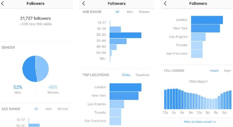 Instagram Followers Demographics