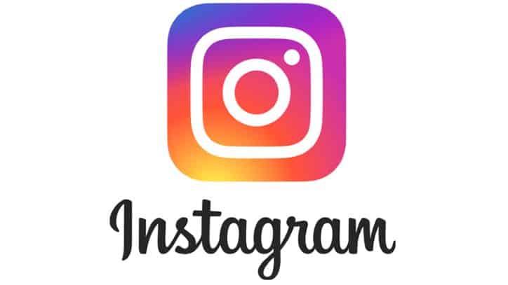Instagram Color Logo | Text and Icon