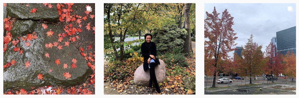 Jorden Jones IG posts | Autumn leaves | Wellness influencers