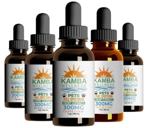 Kamba Wellness hemp extract flavored oils for pets