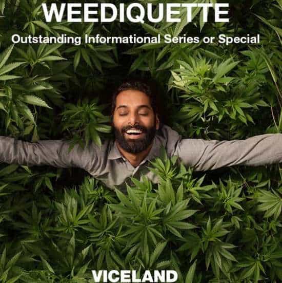 Krishna Sai Andavolu | Viceland’s marijuana-based hit show, Weediquette