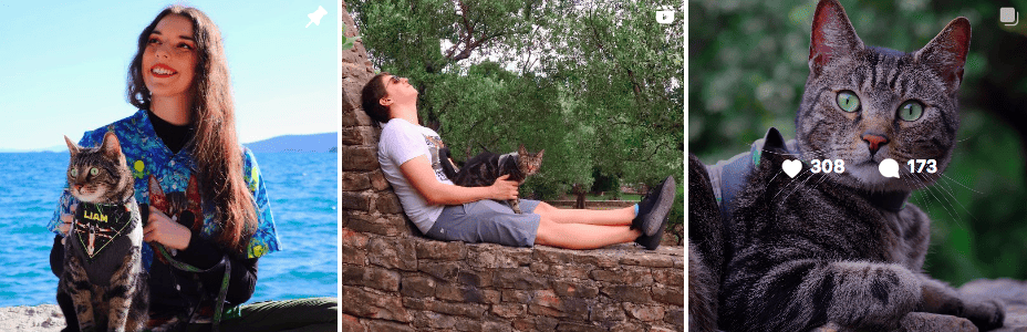 Liam the Everyday Cat | Outdoor adventures