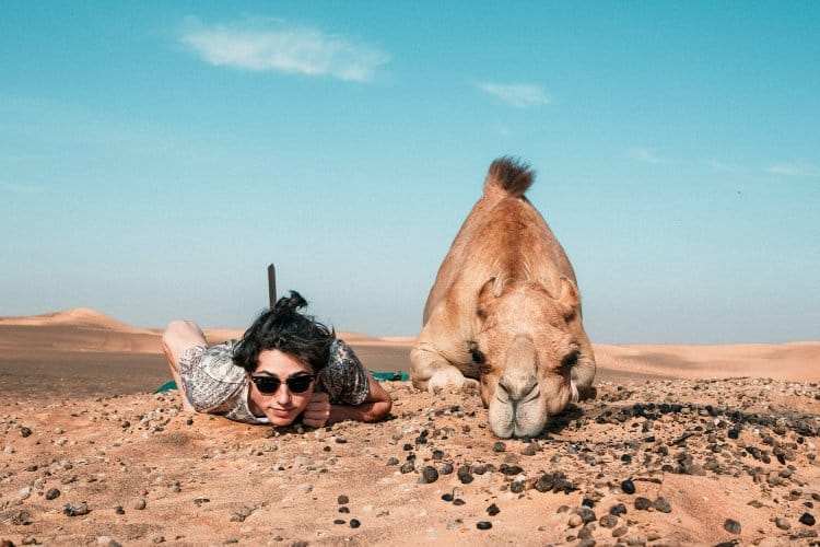 Man and camel laying on their front on the desert sand