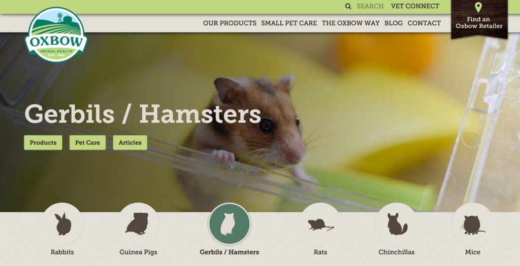 Oxbow Animal Health | Gerbils Hamsters