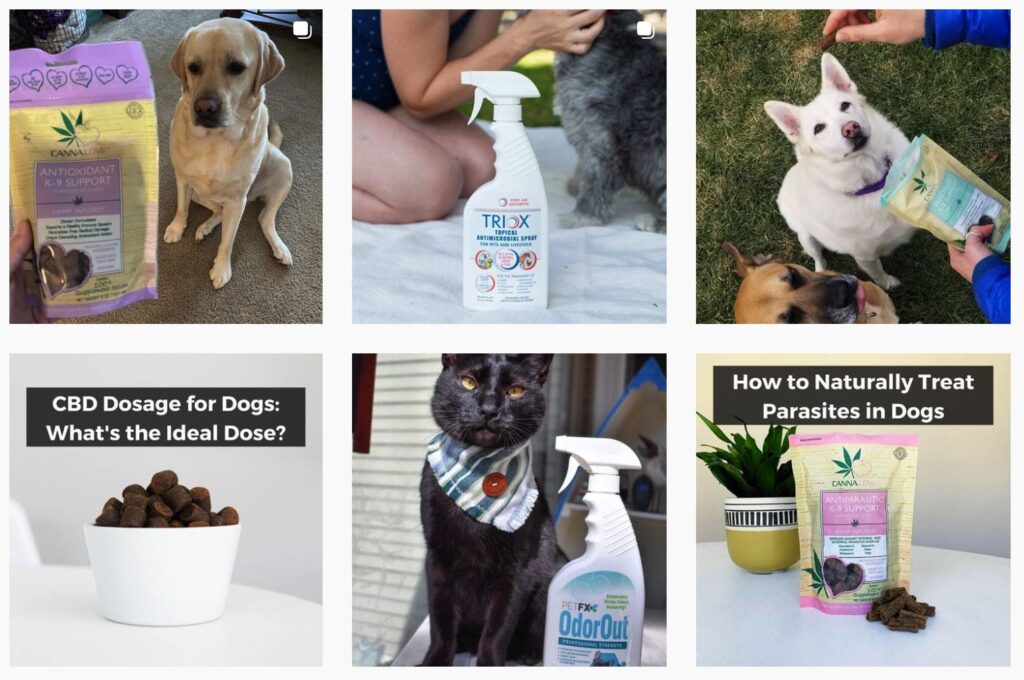 Petfx Instagram posts | Pet brands featured on Afluencer