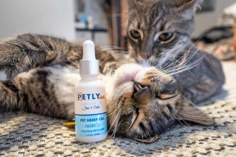 Petly CBD cat brand | Cats lying next to bottle