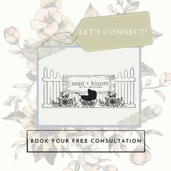 Book Your Free Consultation with Seed and Bloom