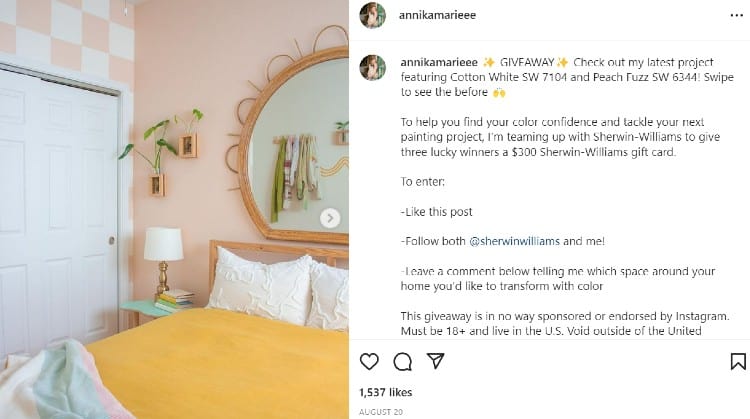 Annika collabs with Sherwin Williams on Instagram