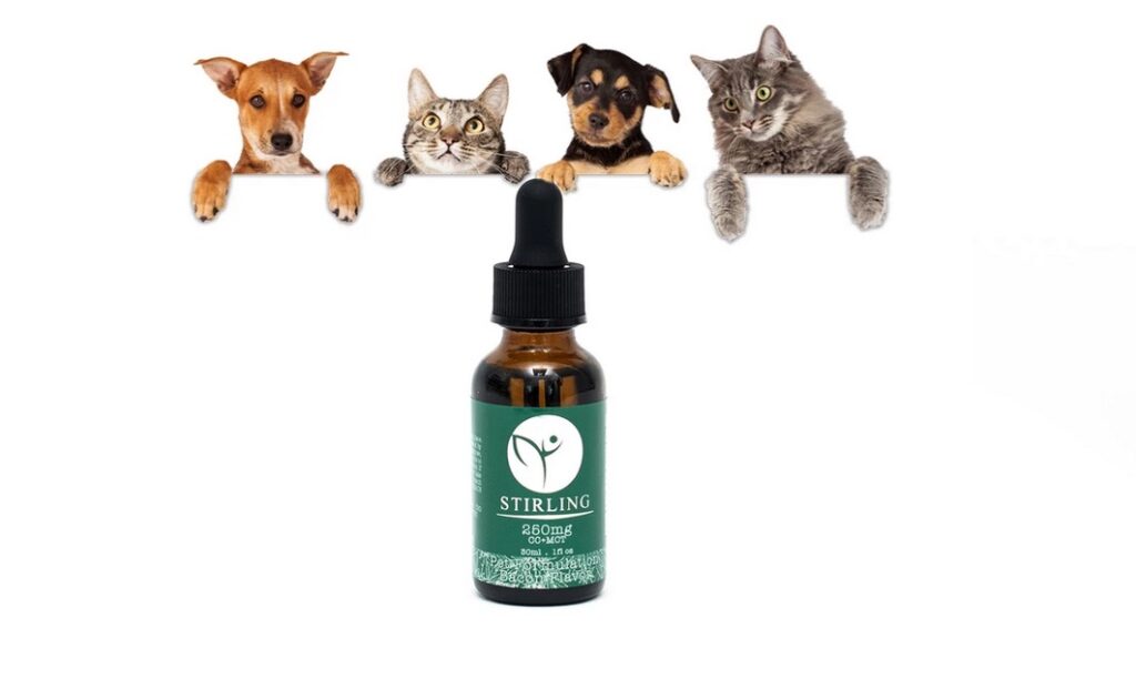 Stirling | CBD oils for cats and dogs