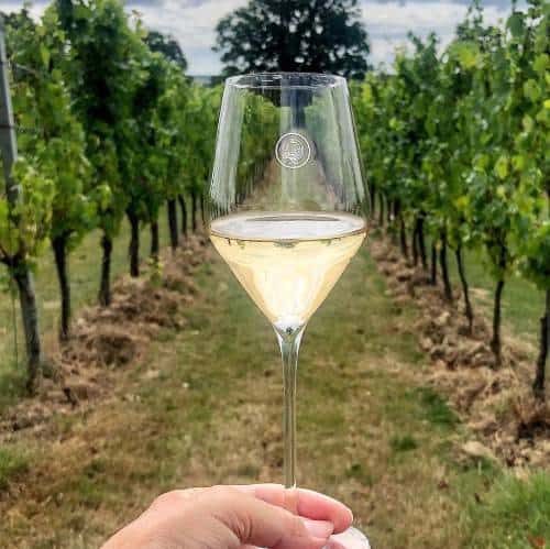 Suzanne Jones | Holding up a glass of white wine in a vineyard