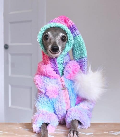 Tika wearing colorful woolly jumper and knitted hat