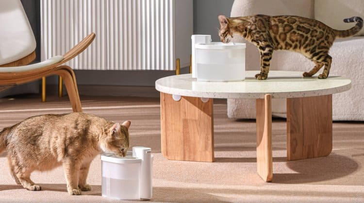 Uahpet products | Zero water fountain