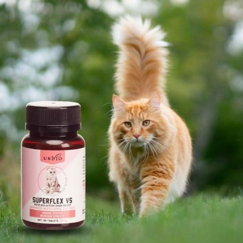 UBbio Superflex nutritional supplements for cats