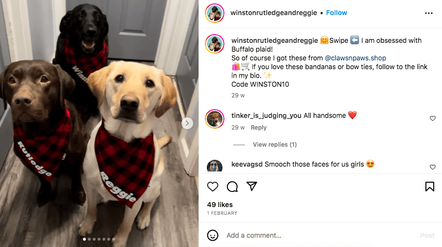 Winston, Rutledge, and Reggie | Instagram post