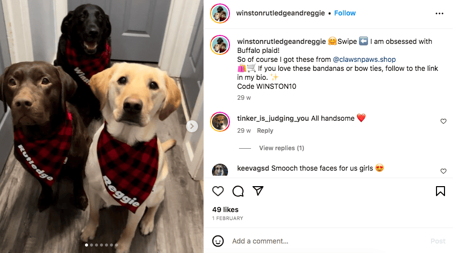 trick for star pets|TikTok Search