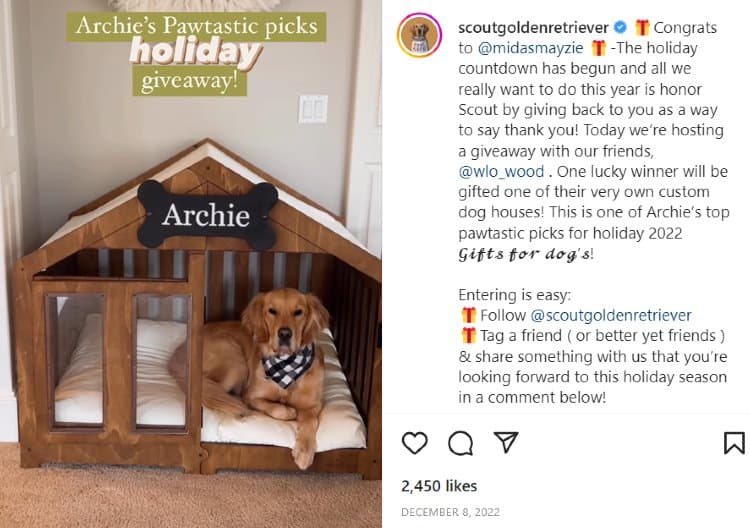WLO Wood and Scout the golden retriever team up for a follower giveaway